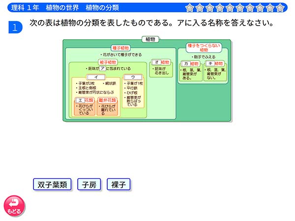 タブレット学習 中学1年 理科「植物の世界 植物の分類」