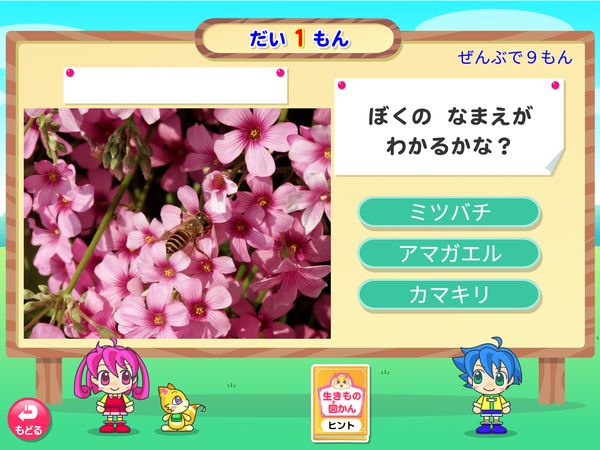 タブレット学習 生活「生きものクイズ ミツバチ」