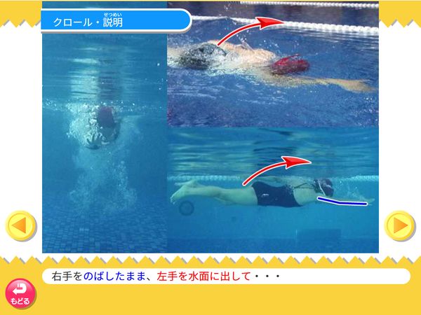 タブレット学習 体育「水泳 クロール」