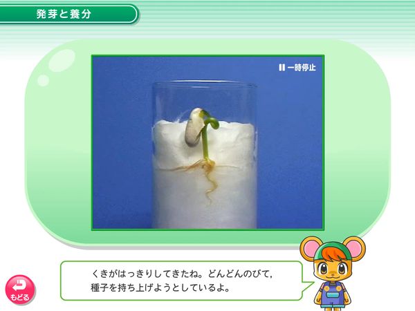 タブレット学習 理科「植物の成長 発芽と養分」